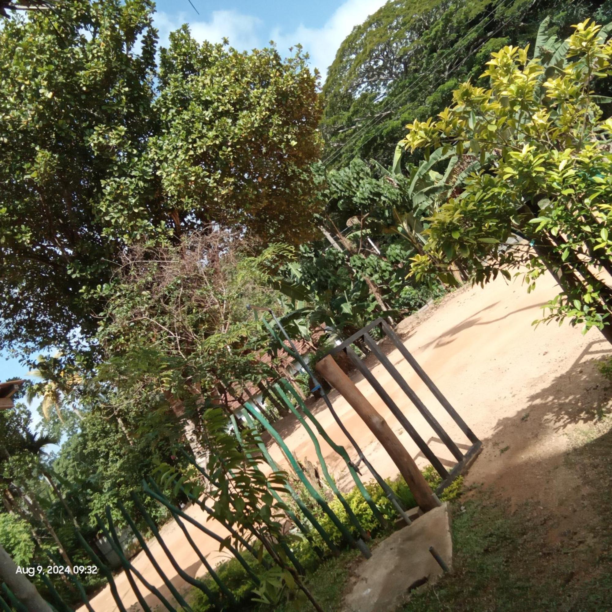 Dillenia Canopy Mirissa Buitenkant foto